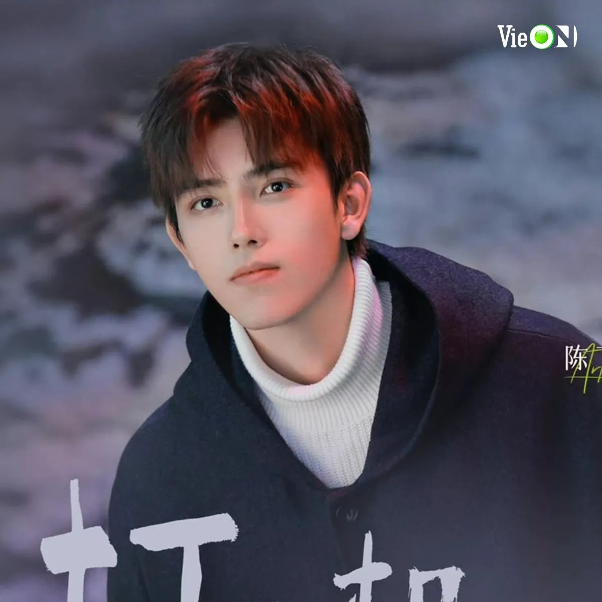 6-sao-hoa-ngu-tan-nat-su-nghiep-vi-scandal-pham-bang-bang-tran-phi-vu-van-con-dat-song6