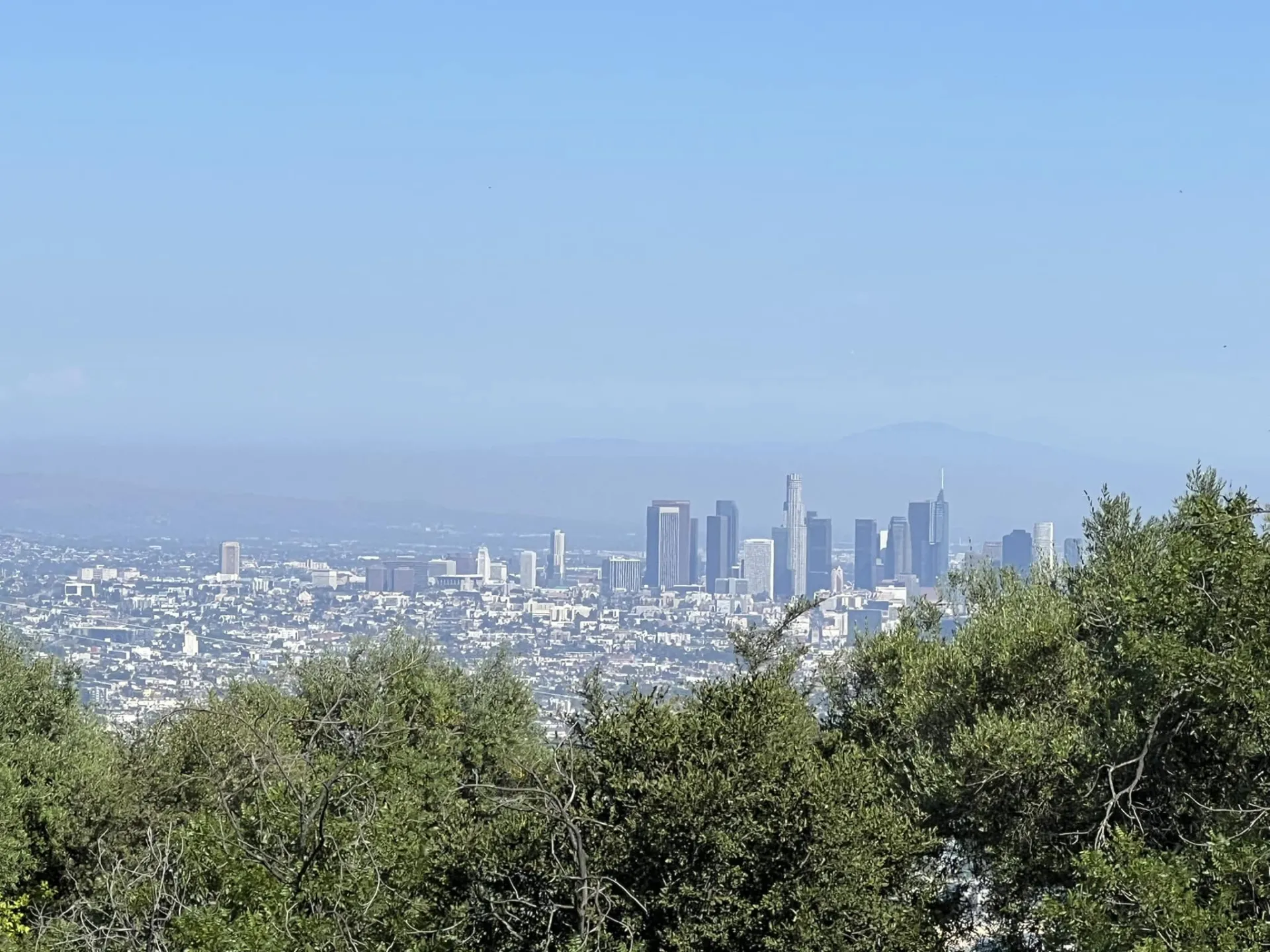 shark-binh-phuong-oanh-3