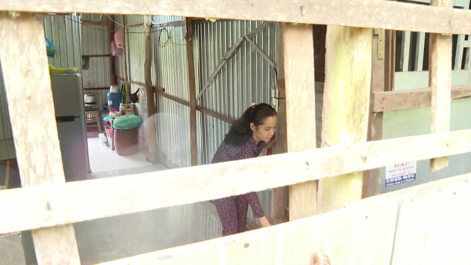 than-tai-go-cua-cau-chuyen-muu-sinh-cam-dong-cua-nguoi-me-khiem-thi-don-than-nuoi-con-o-soc-trang1