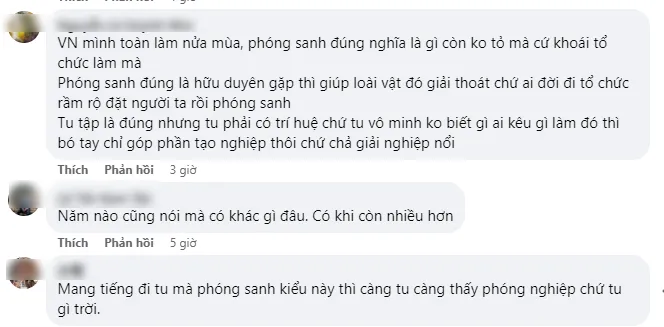 bay-chim-phong-sanh-2