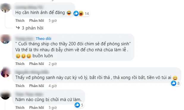 bay-chim-phong-sanh-3