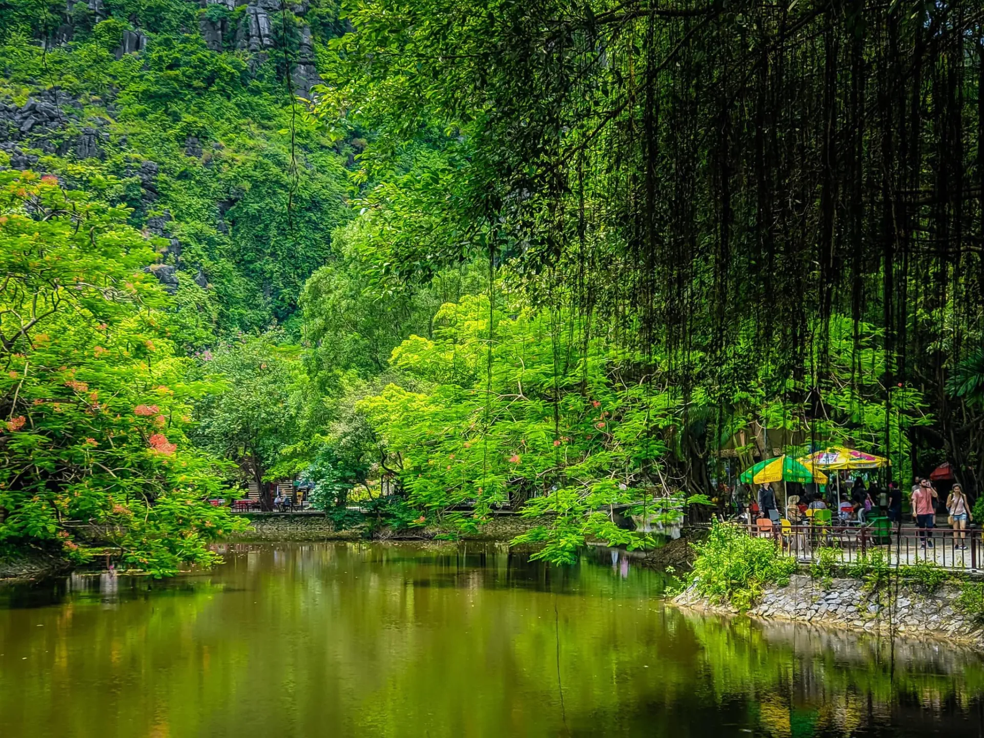 ngam-mua-thu-lang-man-tai-de-nhat-check-in-hang-mua-dip-nghi-le-294