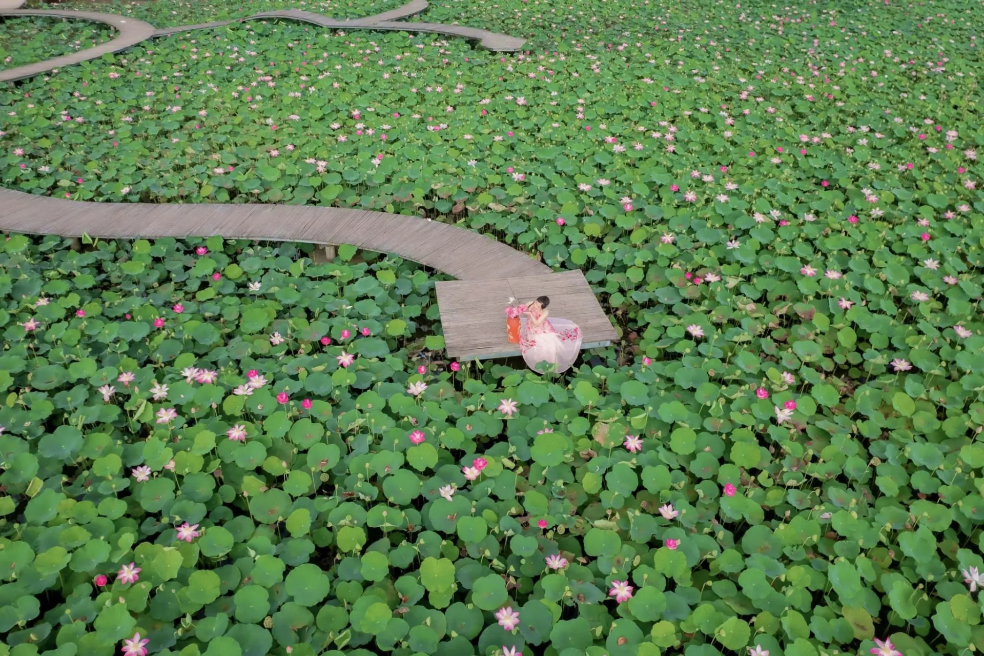 ngam-mua-thu-lang-man-tai-de-nhat-check-in-hang-mua-dip-nghi-le-2945