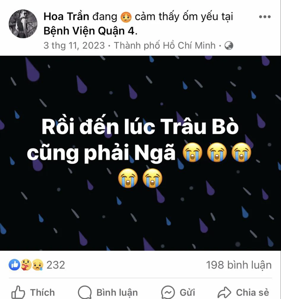 dien-vien-thanh-soi-qua-doi-5