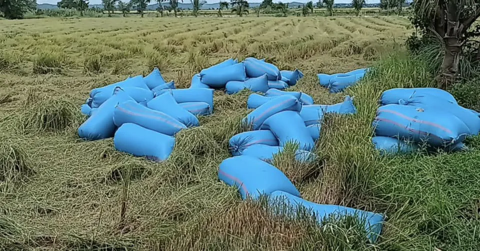 h-hen-nie-tu-thien-3