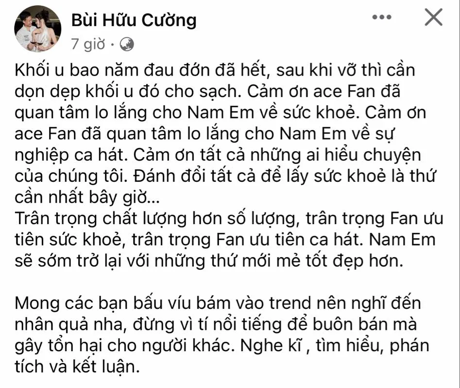 chong-sap-cuoi-cua-nam-em-5