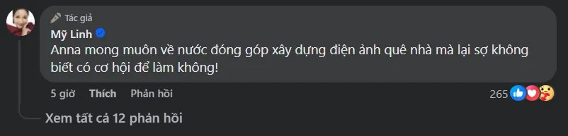 my-linh-tu-hao-ve-anna-truong-4