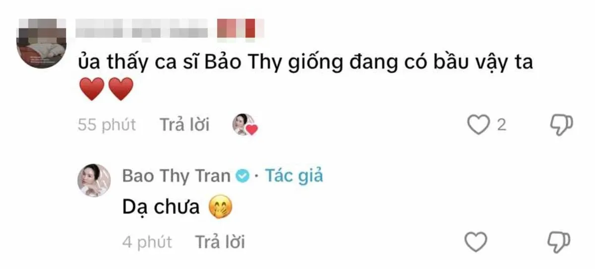 bao-thy-dinh-chinh-tin-don-co-bau-7