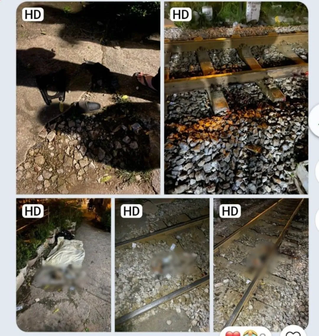 341703085_761564088683571_4281753473518016263_n