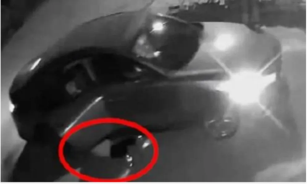 341903741_789733802496414_676380792045524353_n