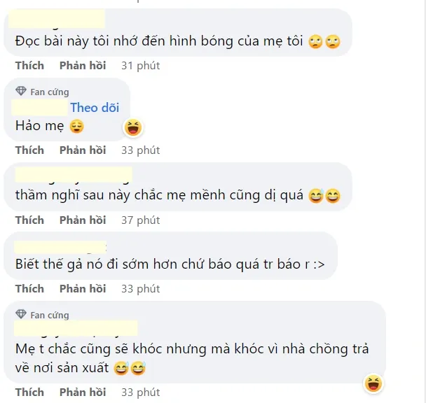 345653210_169093592780381_8113622816001006688_n