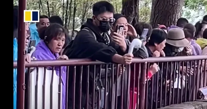 346046691_211215818430143_6050960019059660628_n