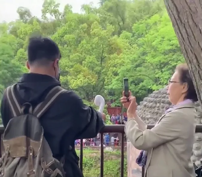 346101482_775217460787410_9209614030592313084_n