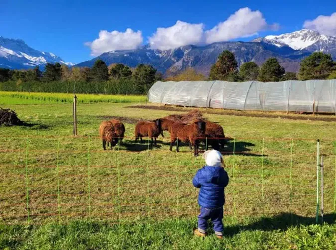 346108534_883670622729126_1712470727142715758_n