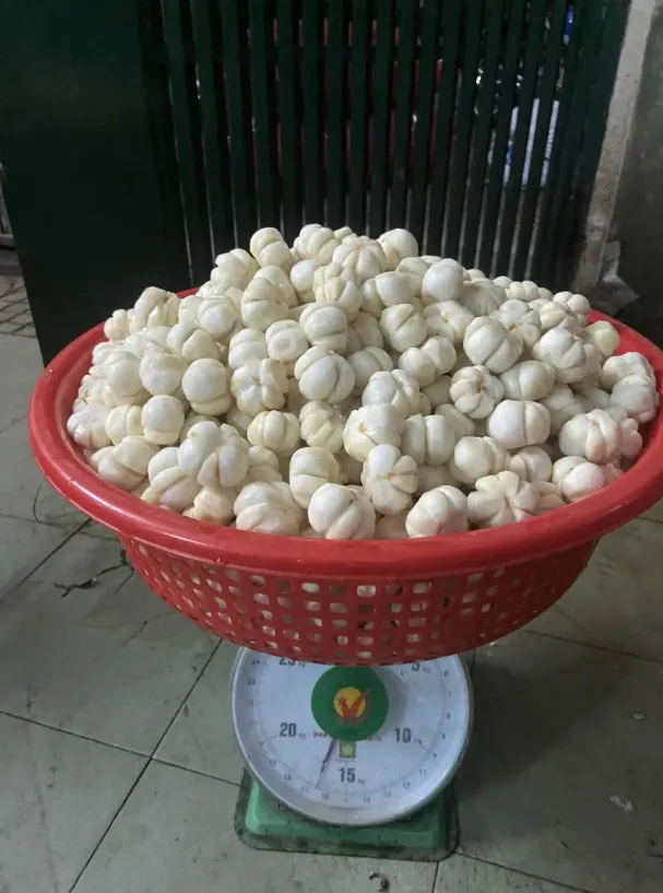 346108022_2312511402265835_3300620281534119845_n