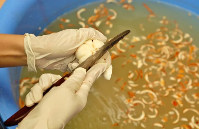 346103058_262169812887289_5167273602941532054_n