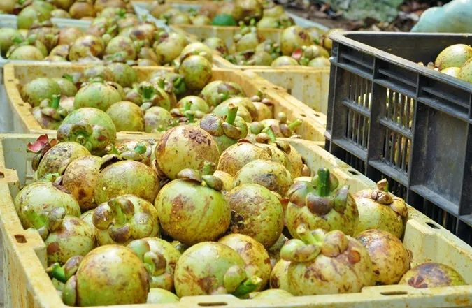 346103220_1243247726295983_6073765744629142494_n