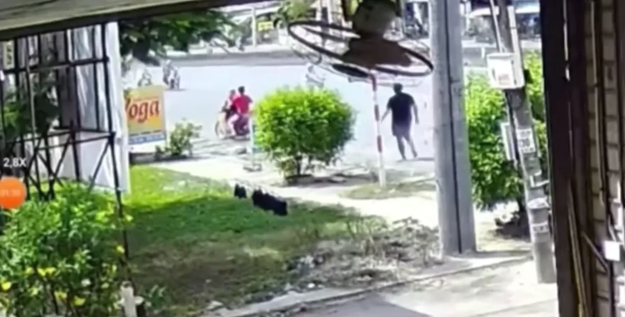 346103667_981616926163967_1655754540886552245_n