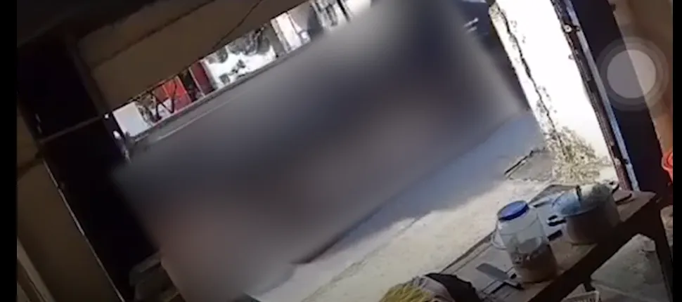 346160976_199523209688108_973203508068722969_n