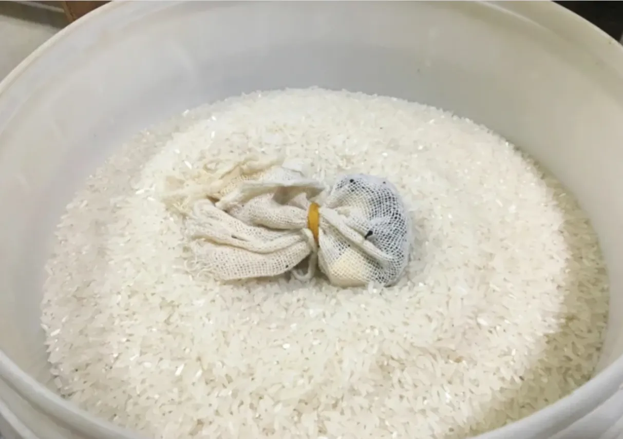 348378360_1916909768668855_1830546720443063469_n