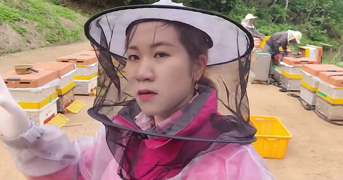 350356449_204054155833201_8408340446733655447_n