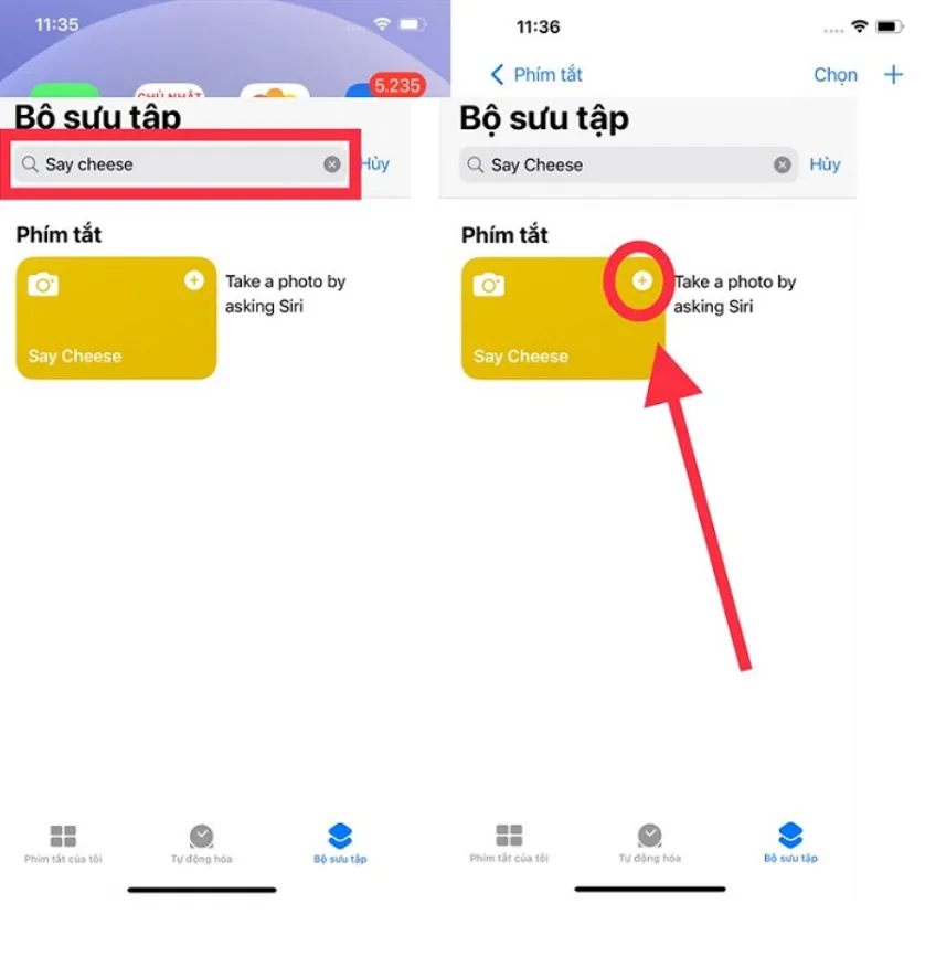 meo-chup-anh-tu-xa-tren-iphone (3)