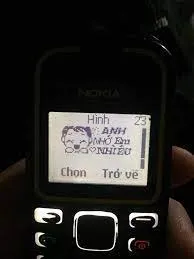 dien-thoai-cuc-gach-bieu-tuong-giau-co-mot-thoi (3)