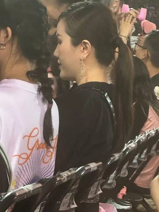 dan-sao-viet-tai-concert-blakcpink (6)