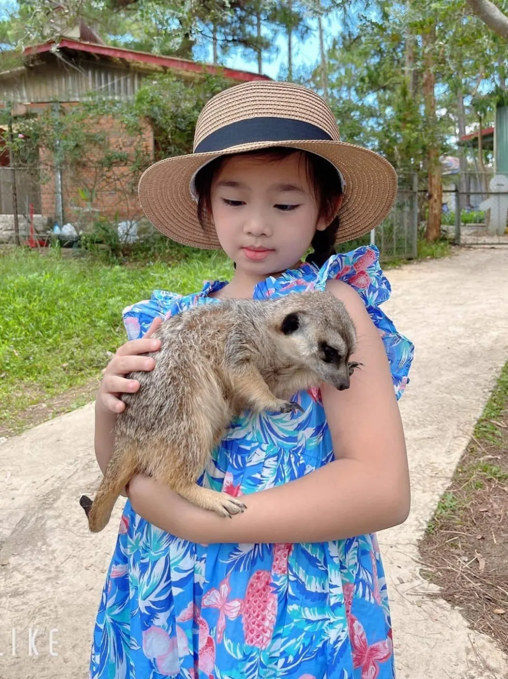 phung-ngoc-huy-tiet-lo-dieu-dac-biet-cho-be-laive (1)