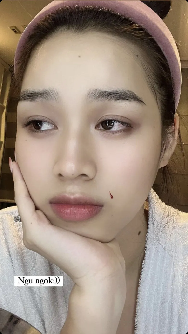 hoa-hau-do-ha-gap-su-co-trang-diem-de-lai-seo (1)