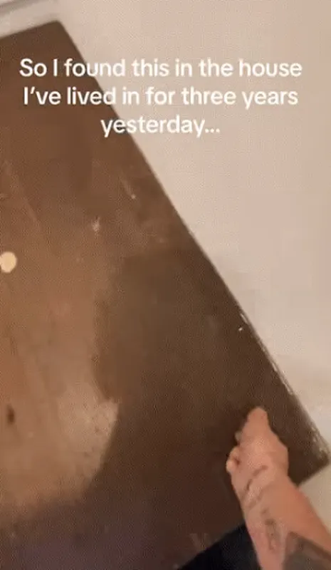 phat-hien-ham-bi-mat-trong-nha (8)