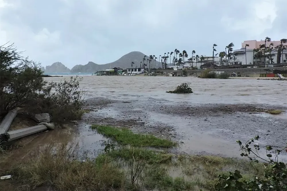 nguyen-nhan-gay-bao-o-cali (2)