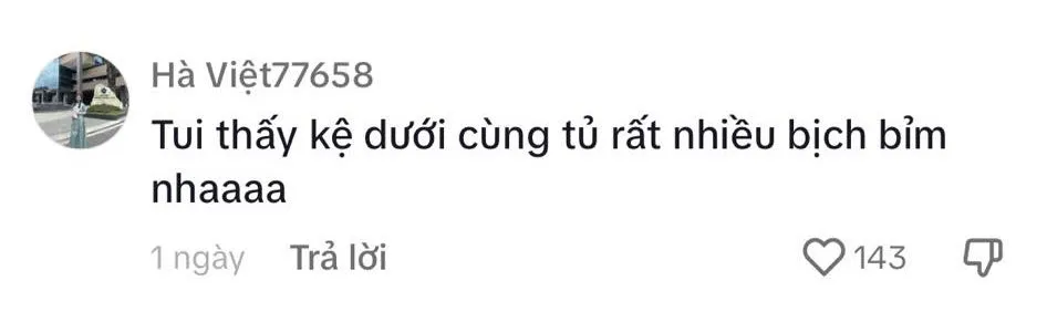 nghi-van-ba-xa-ho-quang-hieu-mang-thai (1)