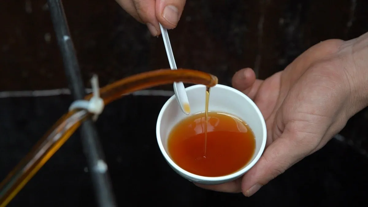 cong-dung-cua-nuoc-mam=khi-die-bien (1)