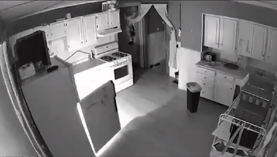 lap-camera-phat-hien-canh-tuong-rung-ron (2)