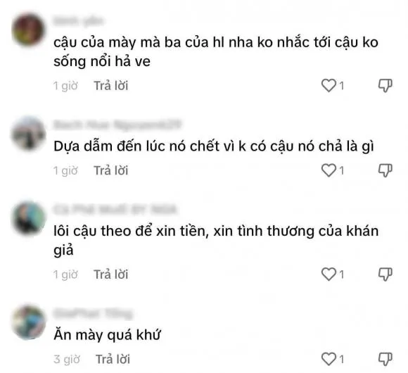 hong-phuong-chau-vu-linh-bi-chi-trich (7)