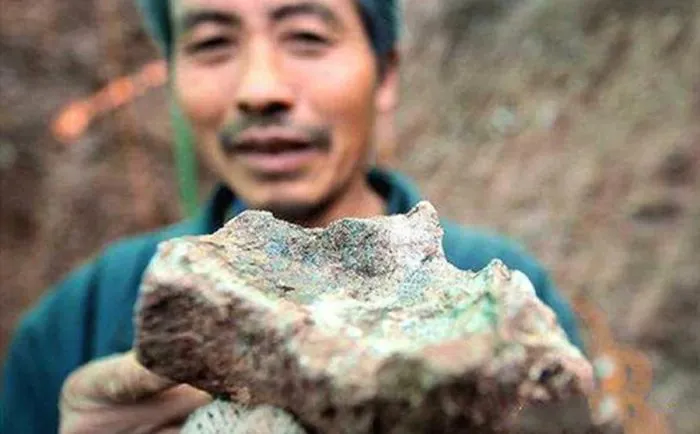 nguoi-nong-dan-nhat-duoc-da (1)