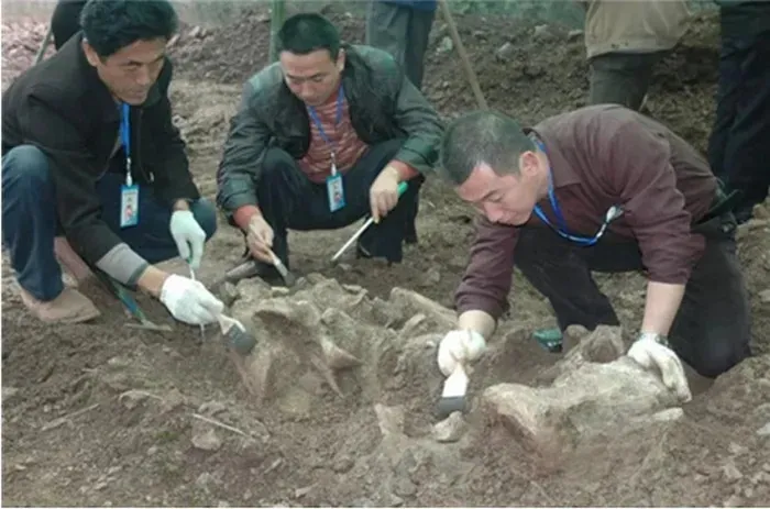 nguoi-nong-dan-nhat-duoc-da (3)