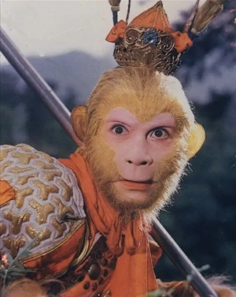 ly -do-phat-to-phai-hoi-lai-lich-ton-ngo-khong (4)