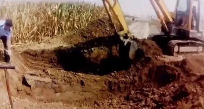 tieng chuong dien thoai tu mo cua nguoi phu nu (4)