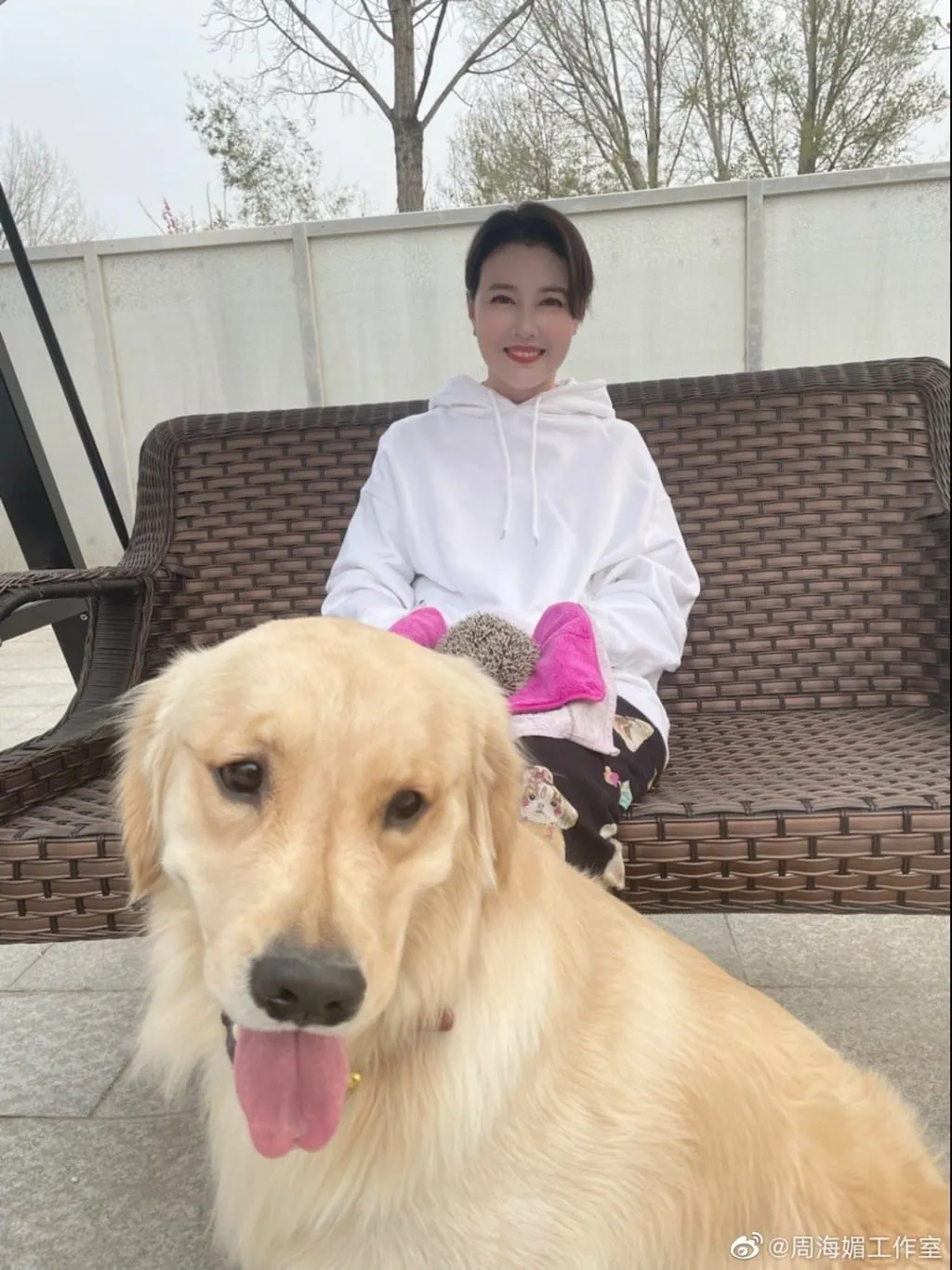 can-canh-bien-thu-o-bac-kinh-cua-chau-hai-my (14)