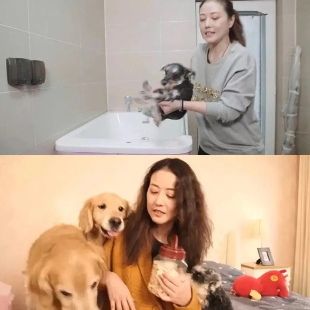 can-canh-bien-thu-o-bac-kinh-cua-chau-hai-my (3)