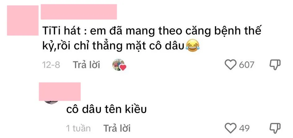 titi-hat-dam-cuoi-gay-tranh-cai (3)