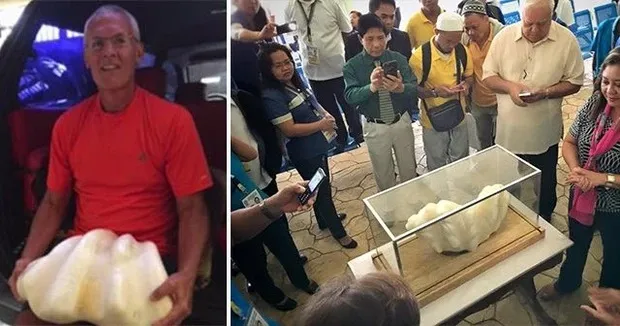 vien-da-ky-la-gia-2400ty (1)