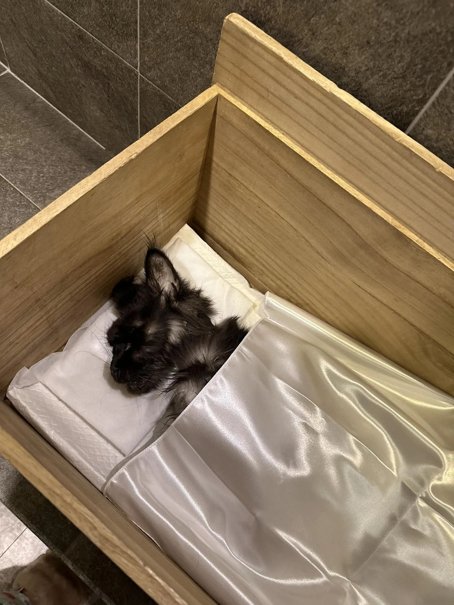 tran-thanh-hari-won-thong-bao-cuoi-na (1)