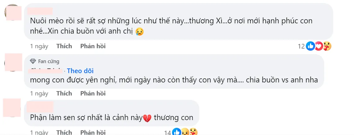 tran-thanh-hari-won-thong-bao-cuoi-na (1)