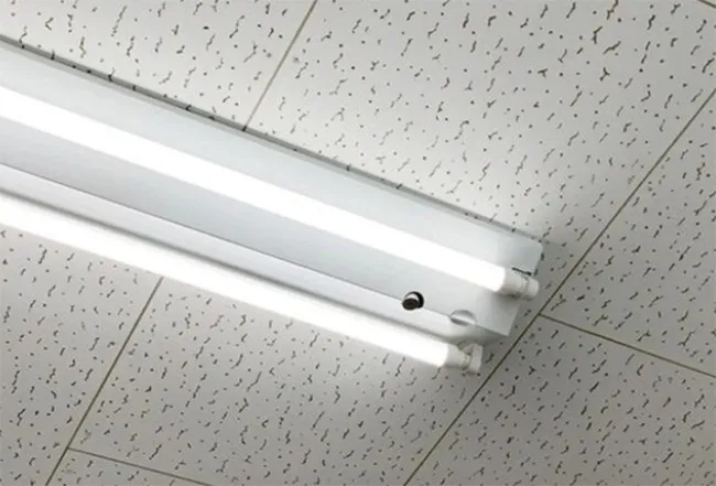 anh-shipper-phat-hien-dieu-bi-an-tren-noc-nha (3)