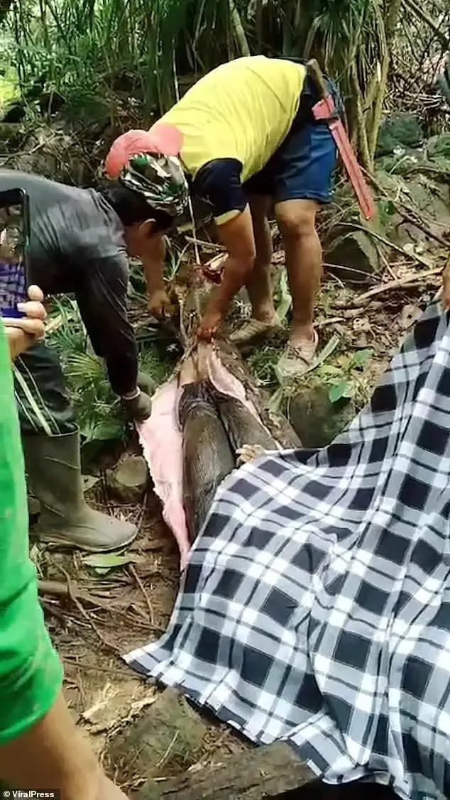 vo-mat-tich-chong-lo-lang-di-tim (1)