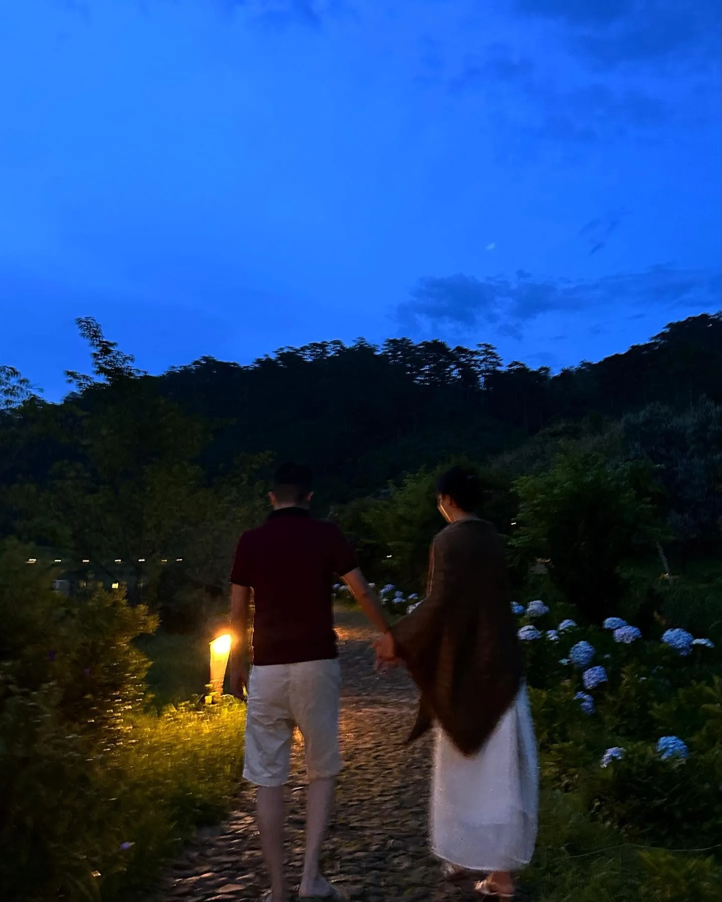 chong-cu-nhat-kim-anh-4