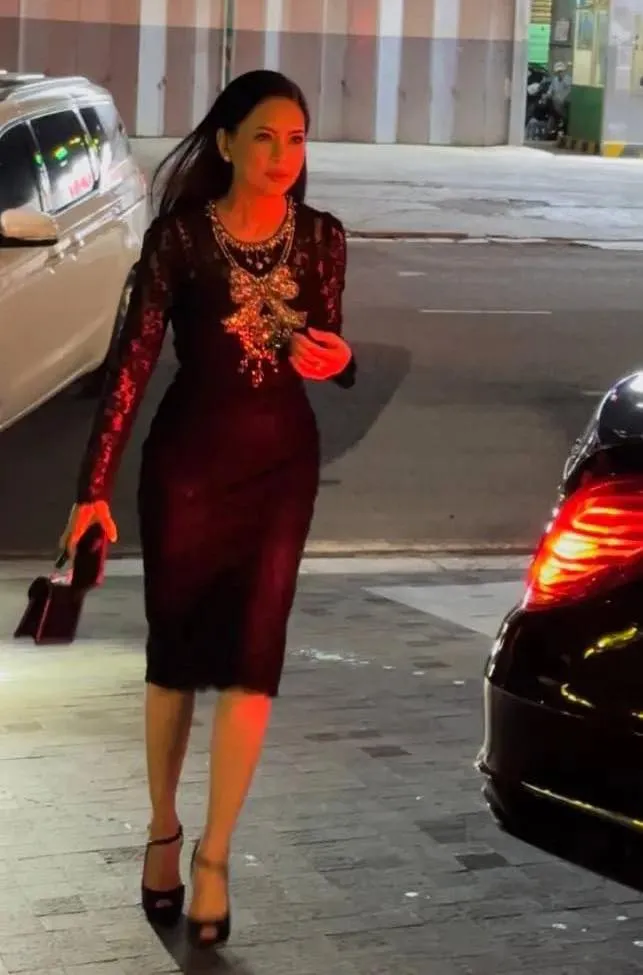 me-chong-tang-thanh-ha-1